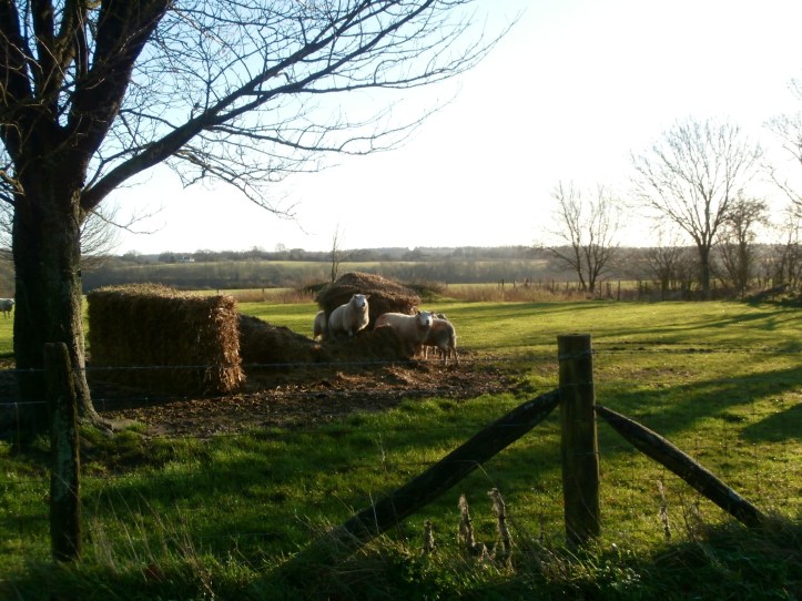 20130101-142626.jpg