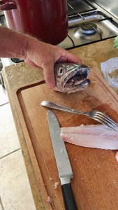 AA1EEB5E-C265-425E-8DC7-776B35E7DDCB